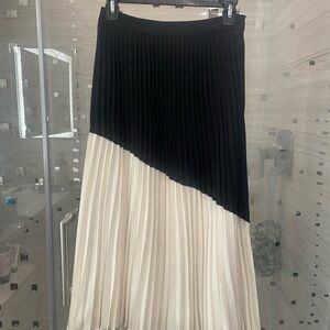 Express Asymmetrical Skirt in Black